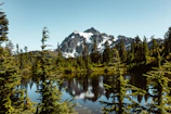 green trees near snow covered mountain during daytime