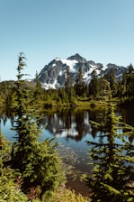 green trees near lake and snow covered mountain during daytime