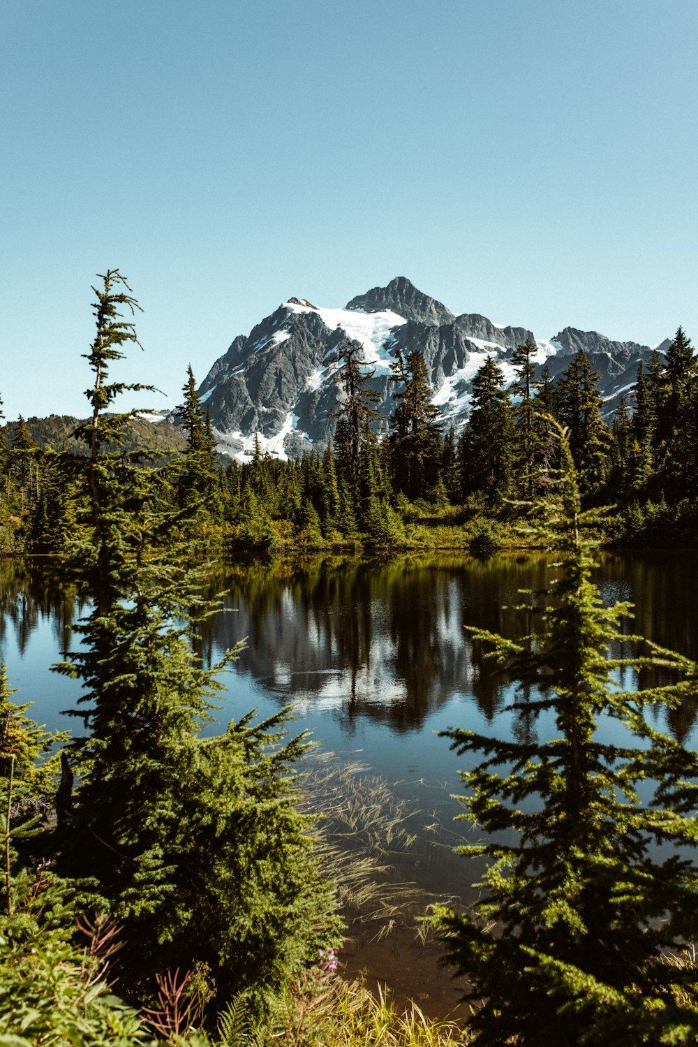 green trees near lake and snow covered mountain during daytime