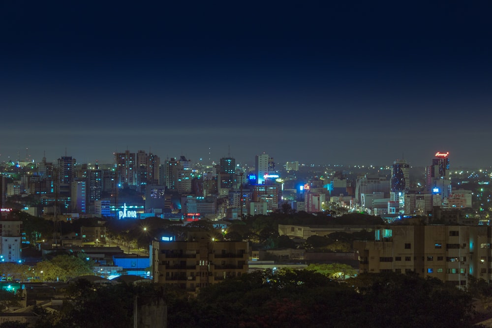 city skyline during night time