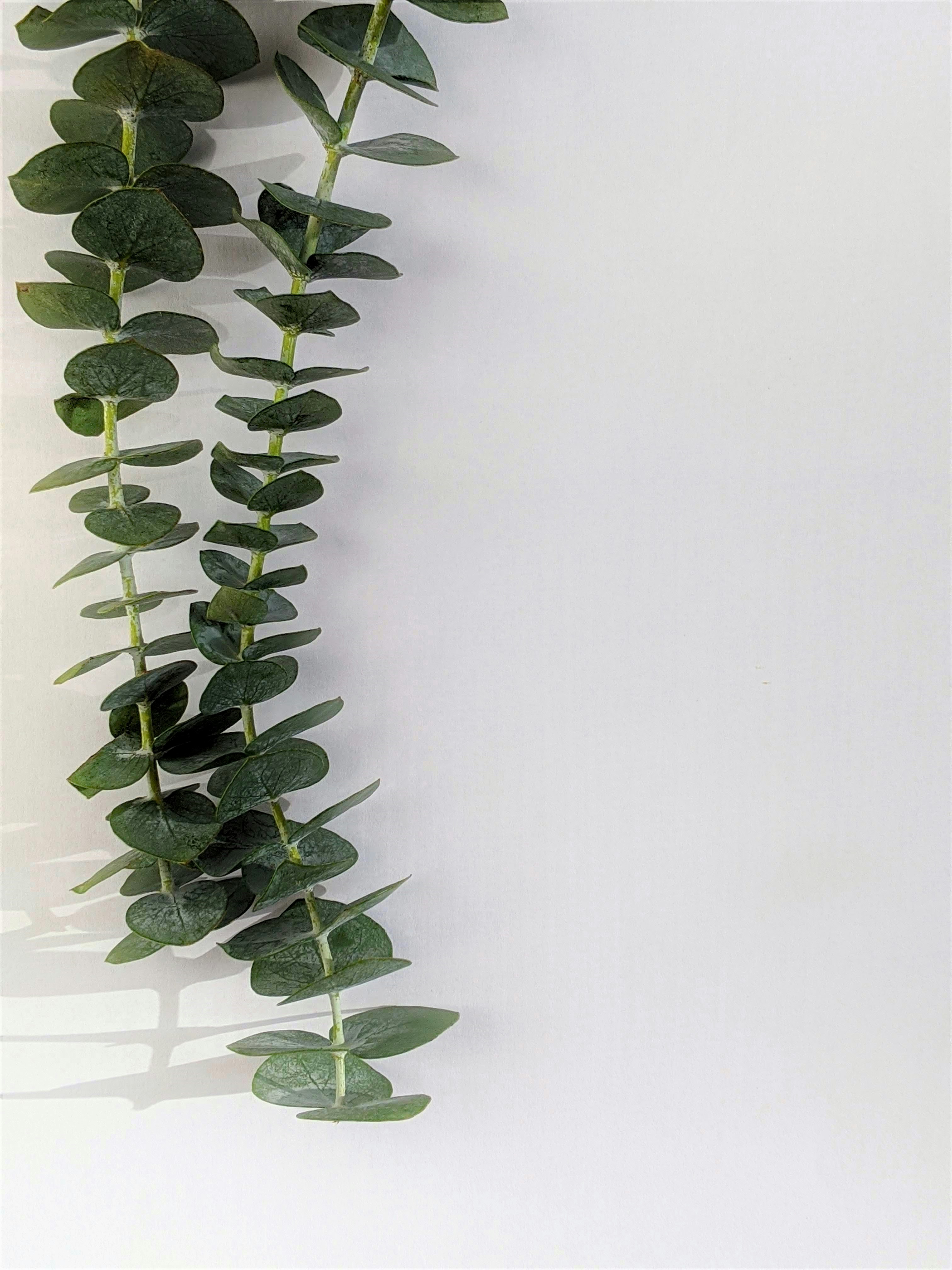 Photo by susan_wilkinson