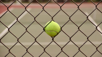 tennis ball on chain link fence