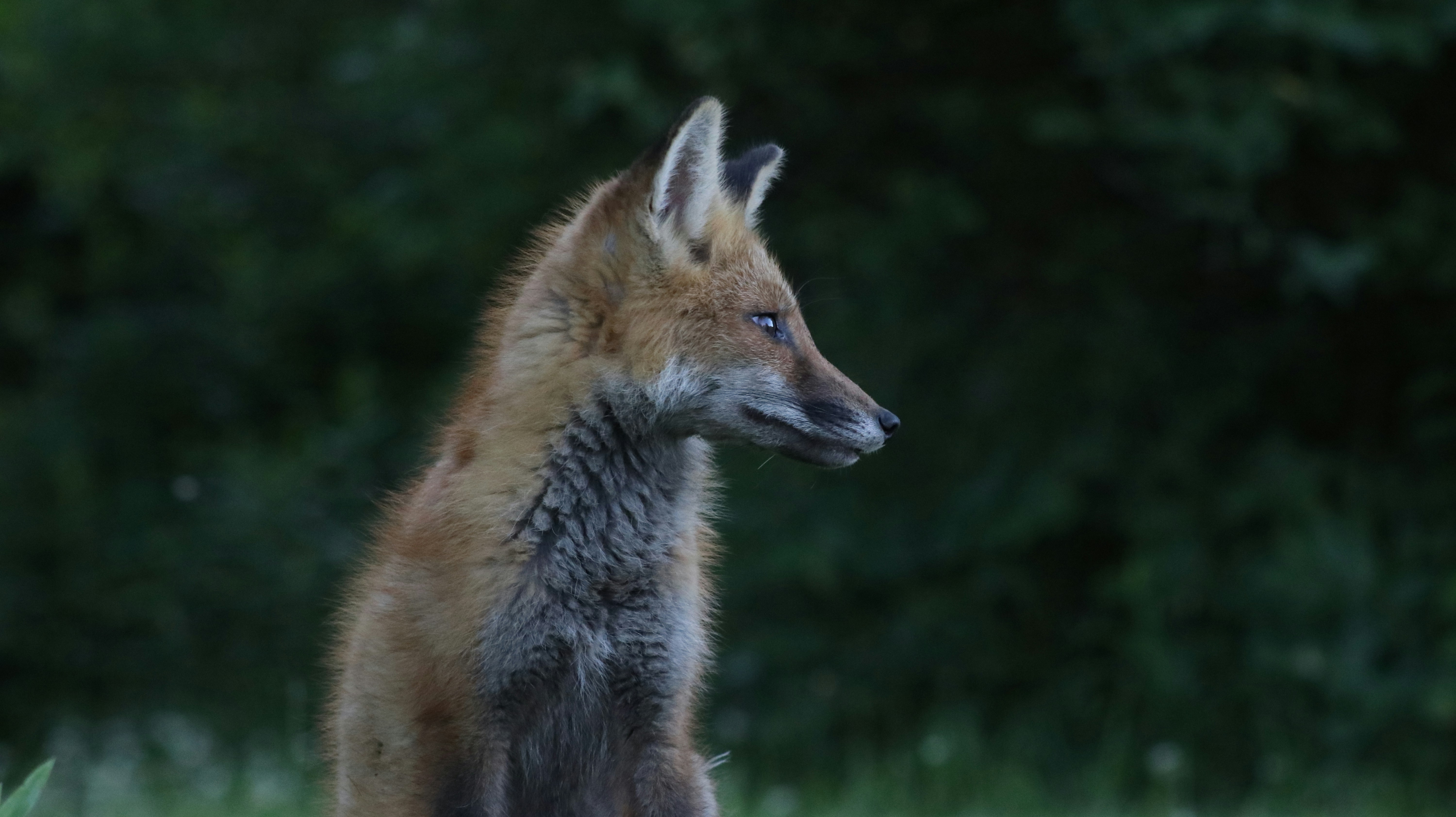 Photo by brodychilds