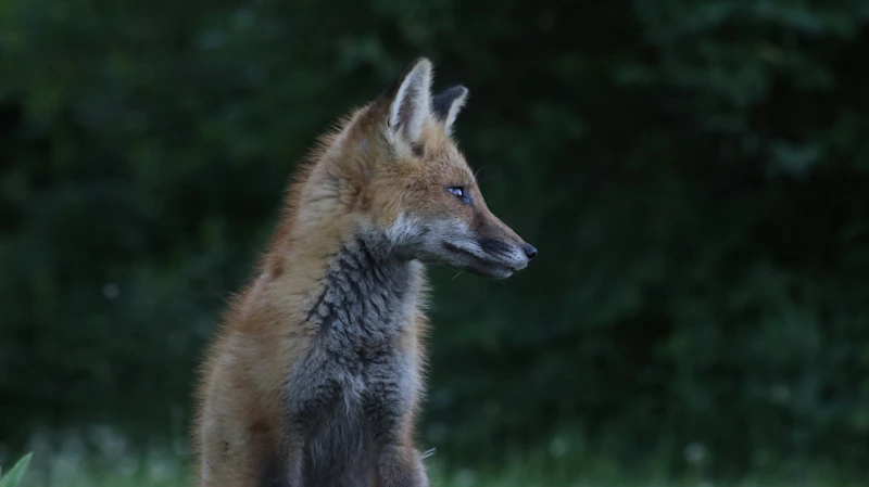 mature gay man enjoying outdoor landscape