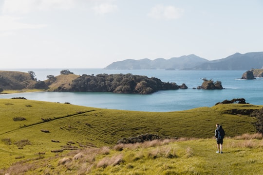 person in black jacket standing on green grass field near body of water during daytime in Urupukapuka Island New Zealand