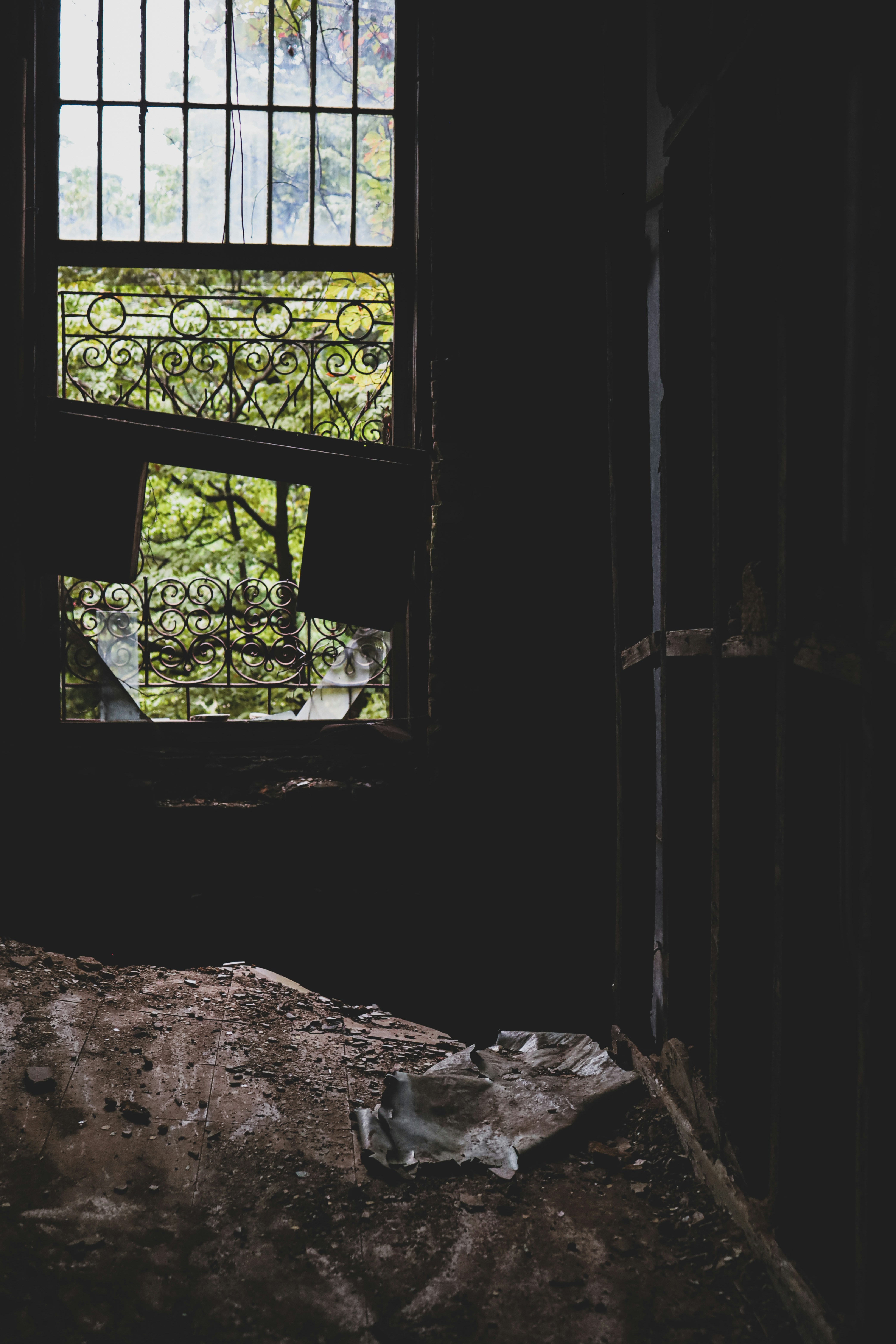 Photo by thetrentonsmith