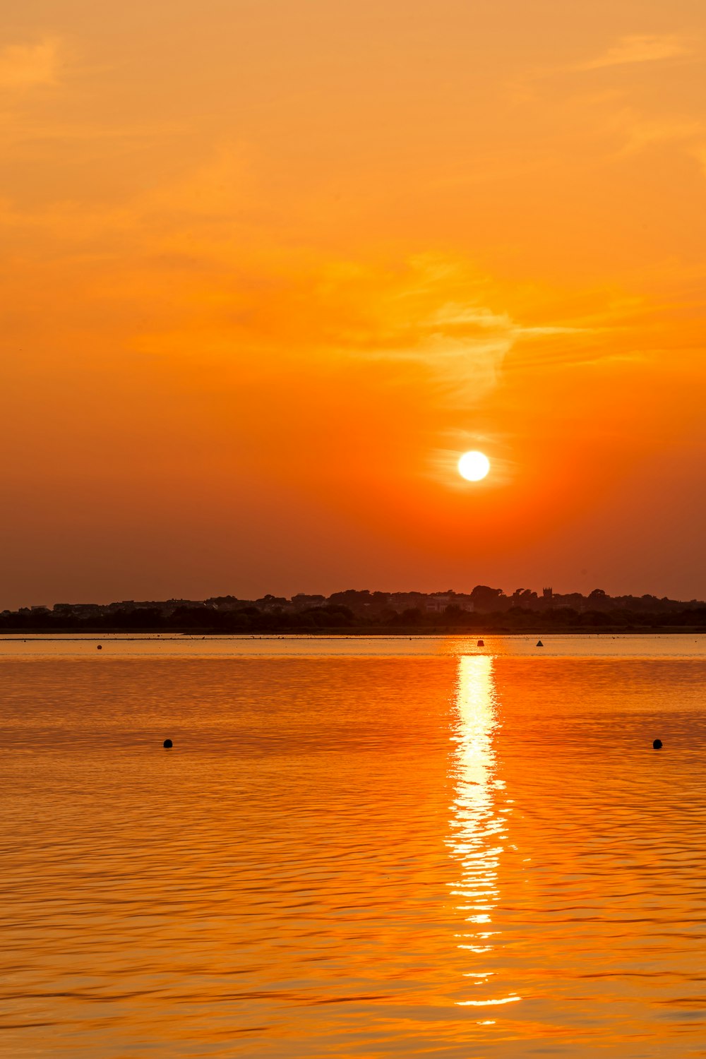 silhouette of people on beach during sunset