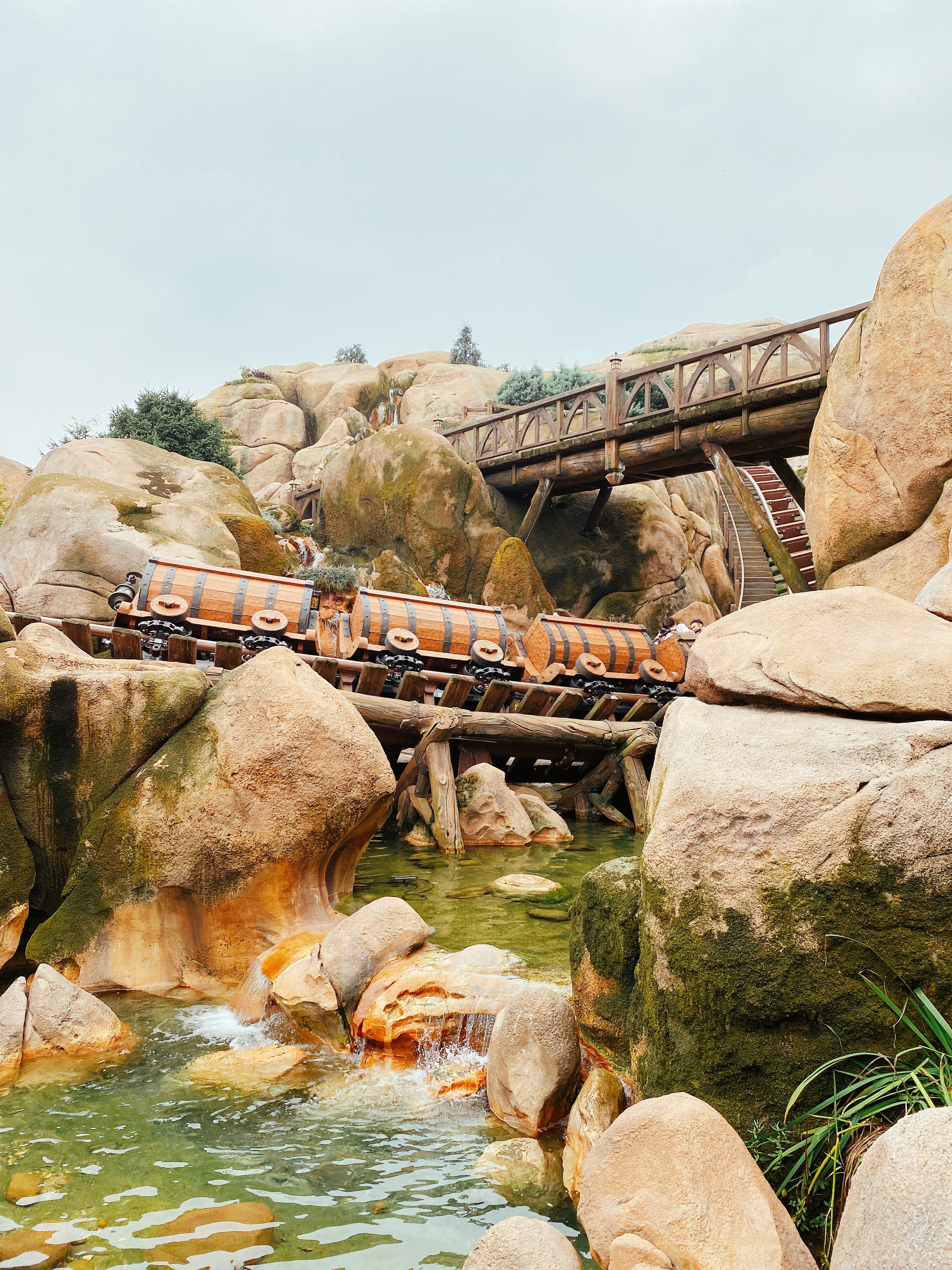 Photo by sherrychen95