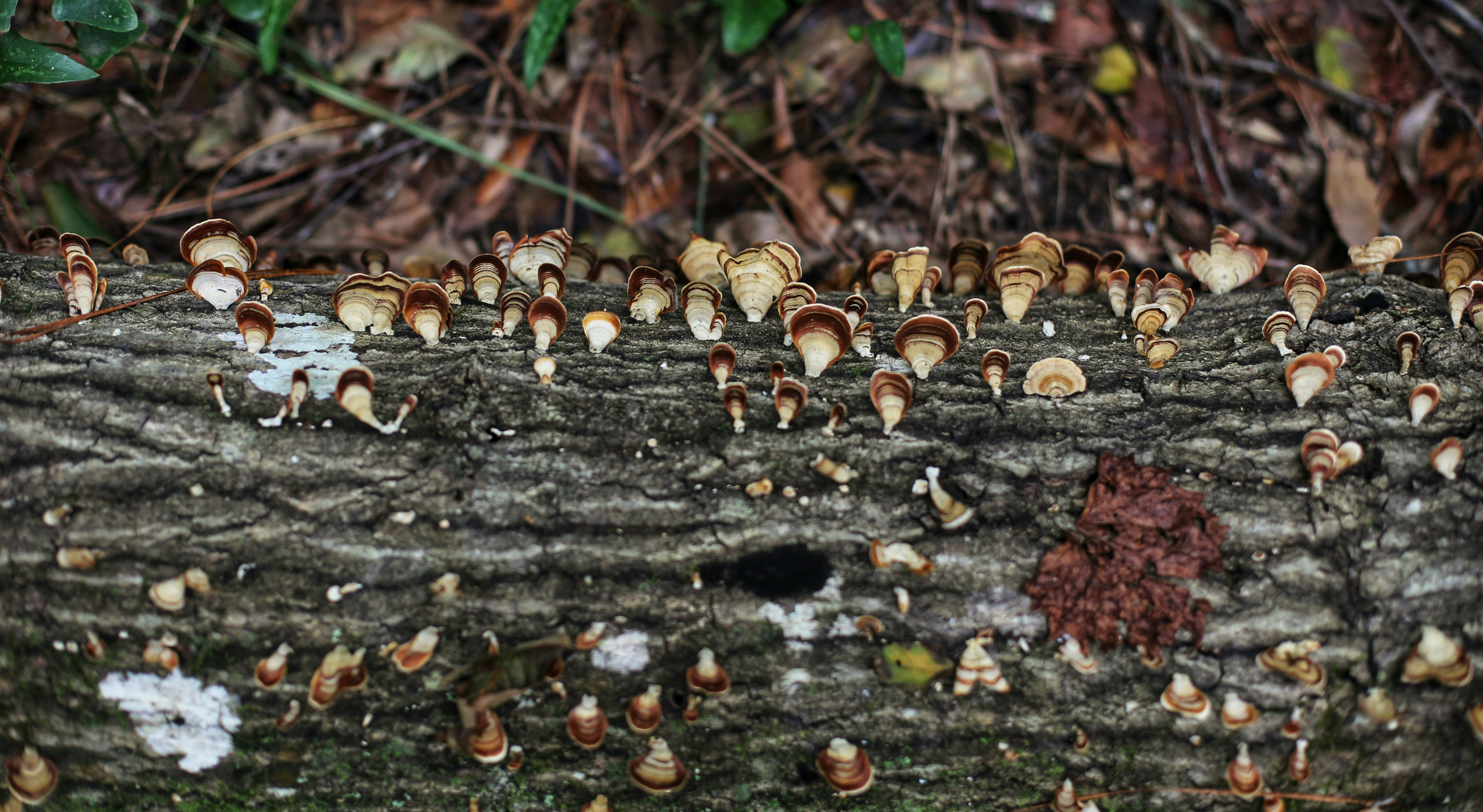 Photo by marcusurbenz