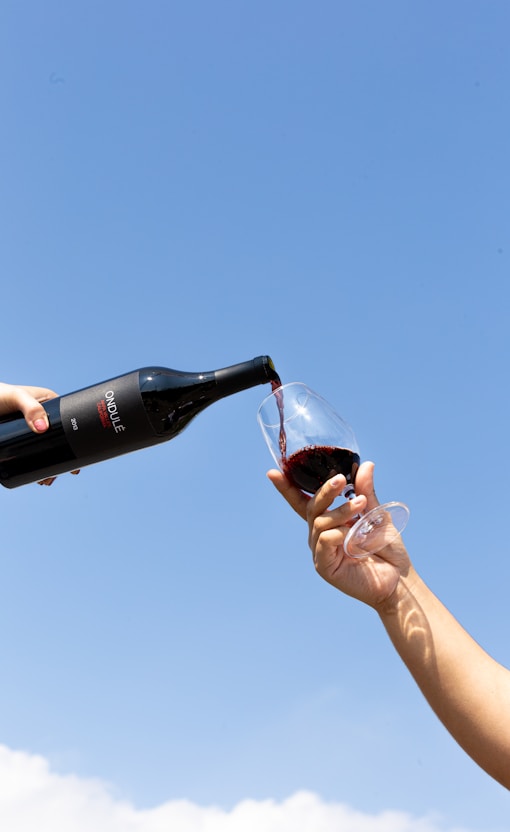 coca cola zero bottle on persons hand