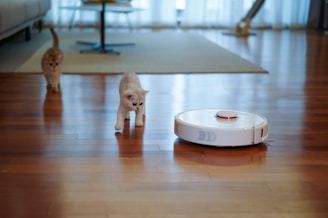 vacuum cleaner