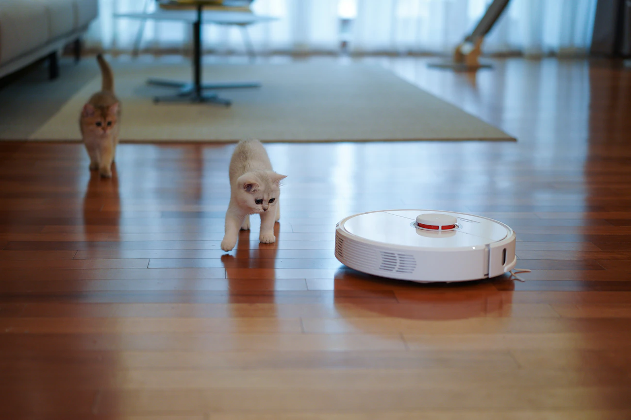 室内の床でロボット掃除機を見る猫