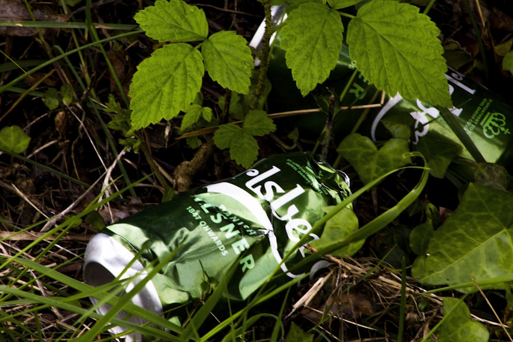 green and white plastic pack on brown dried leaves