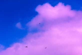 A vibrant sky with a mix of deep blue and pink hues. Several small helicopters or drones are flying in the distance, silhouetted against the colorful clouds.