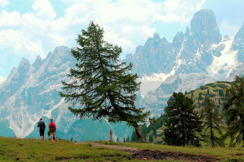 personne en chemise rouge marchant sur un champ d’herbe verte près d’arbres verts et de montagnes pendant la journée