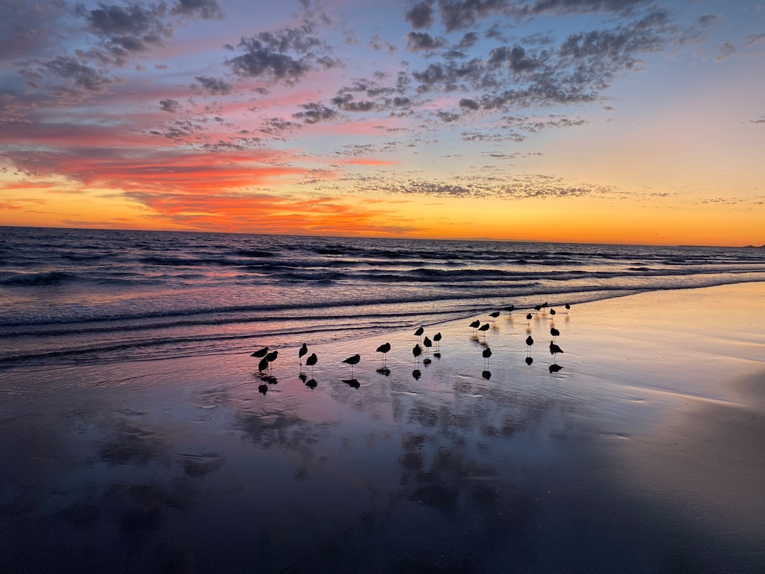 travelers stories about Shore in Puerto Peñasco, Mexico