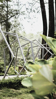 An outdoor scene showing a quiet garden space prepared for a geobiology session.