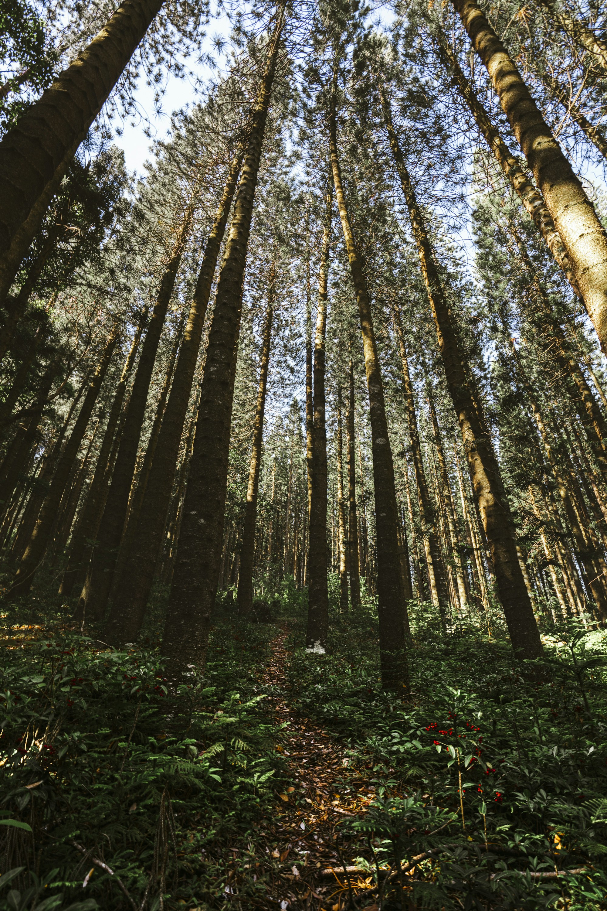 Photo by jess_adventures808