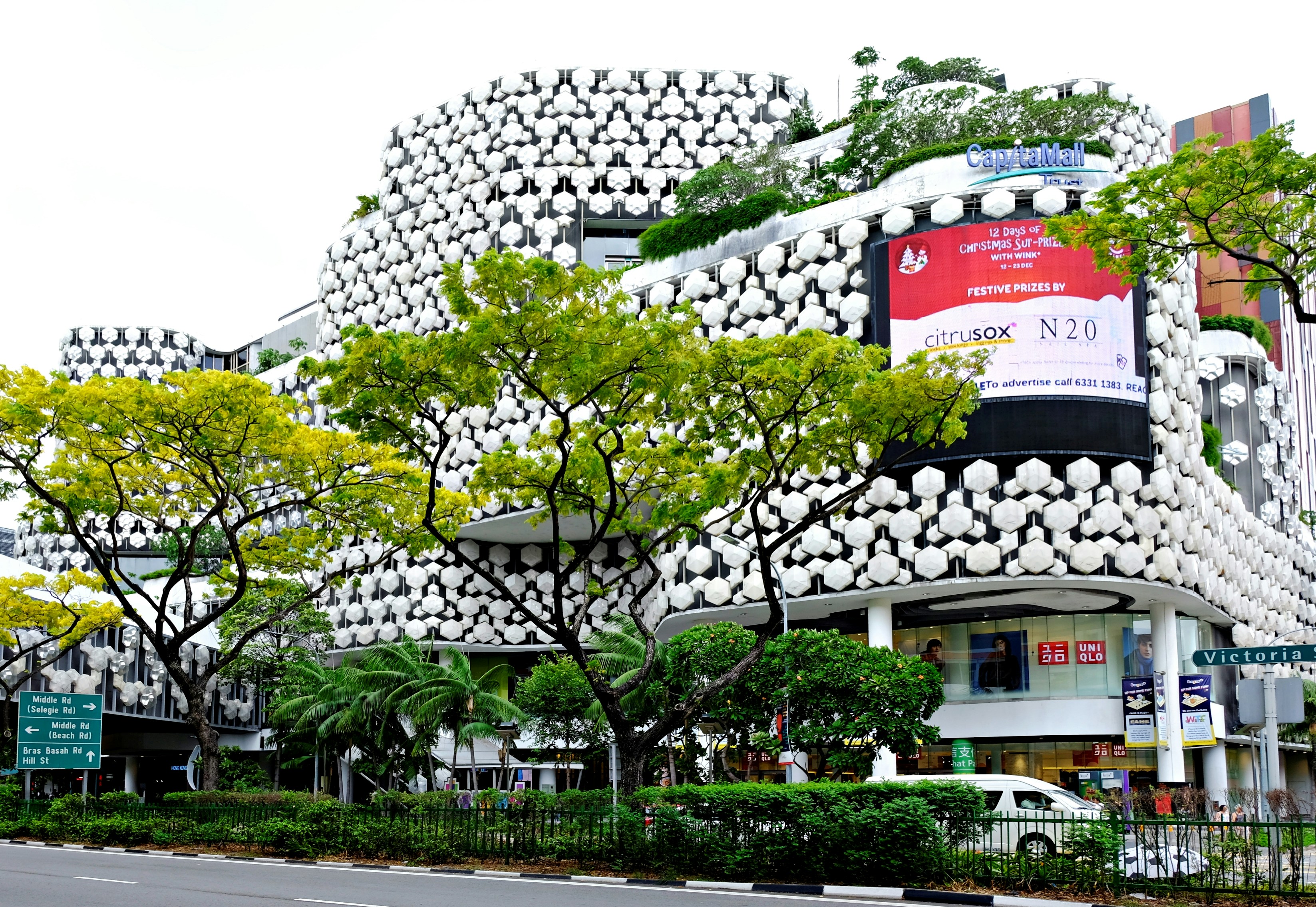 green trees near white building during daytime
