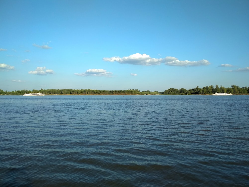 green trees near body of water under blue sky during daytime