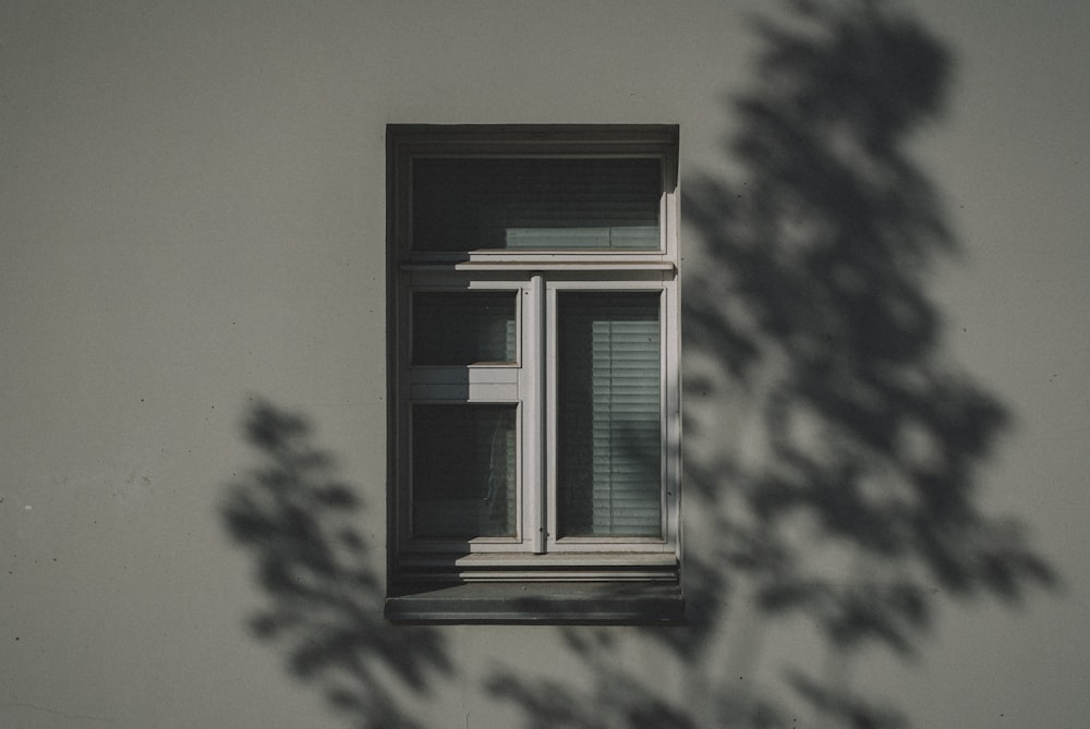 white wooden framed glass window