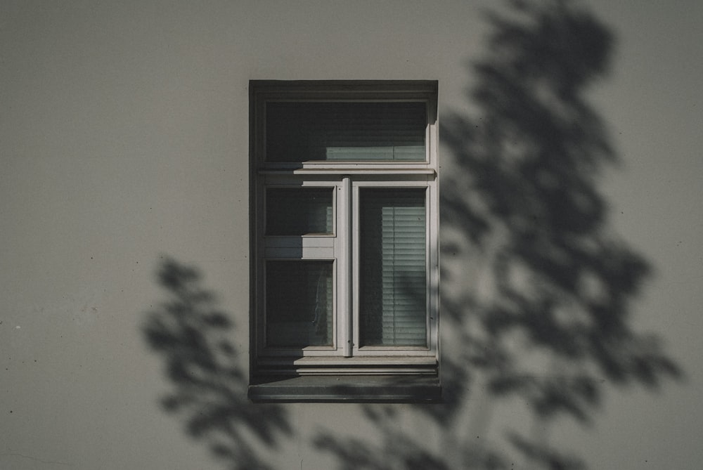 ventana de vidrio con marco de madera blanca