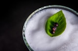 Close-up of a handcrafted botanical beverage garnished with fresh herbs.