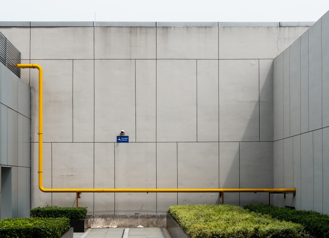 green grass beside gray concrete wall