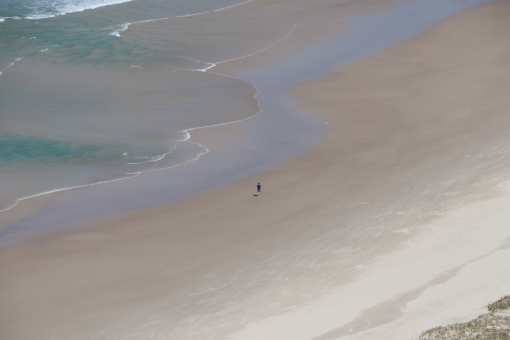 person in white shirt walking on beach during daytime