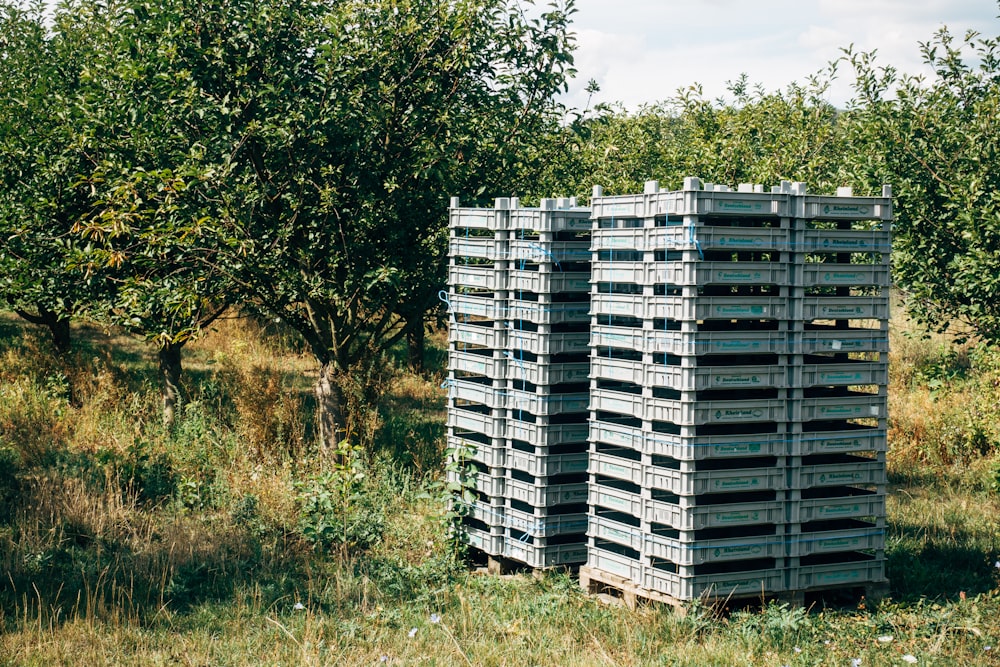 Bâtiment en béton blanc et bleu près d’arbres verts pendant la journée