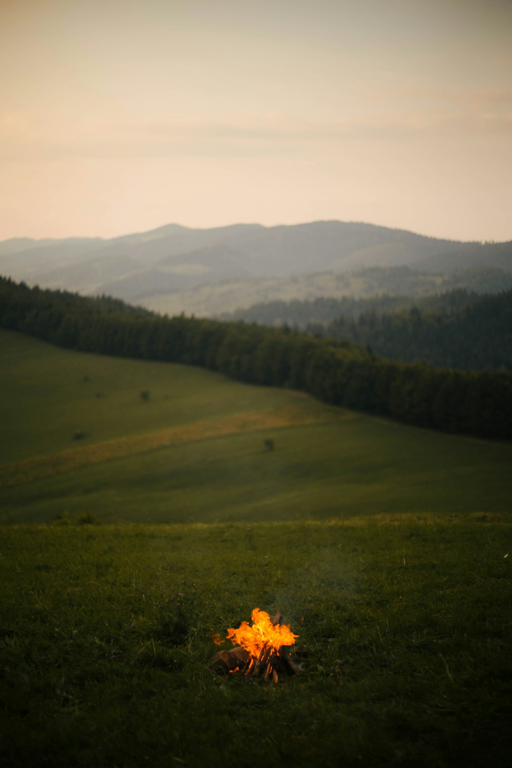 campo de grama verde com árvores e montanhas à distância