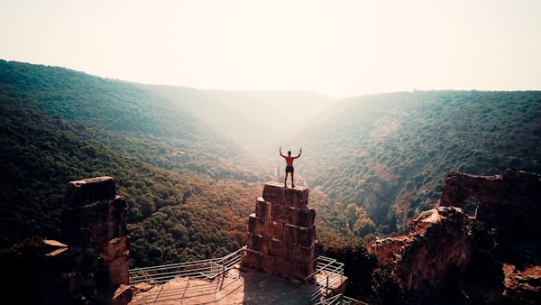 A guy celebrating in front of a picturesque view of a valley and hills.