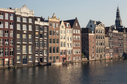 brown concrete building beside river during daytime in Westerkerk Netherlands