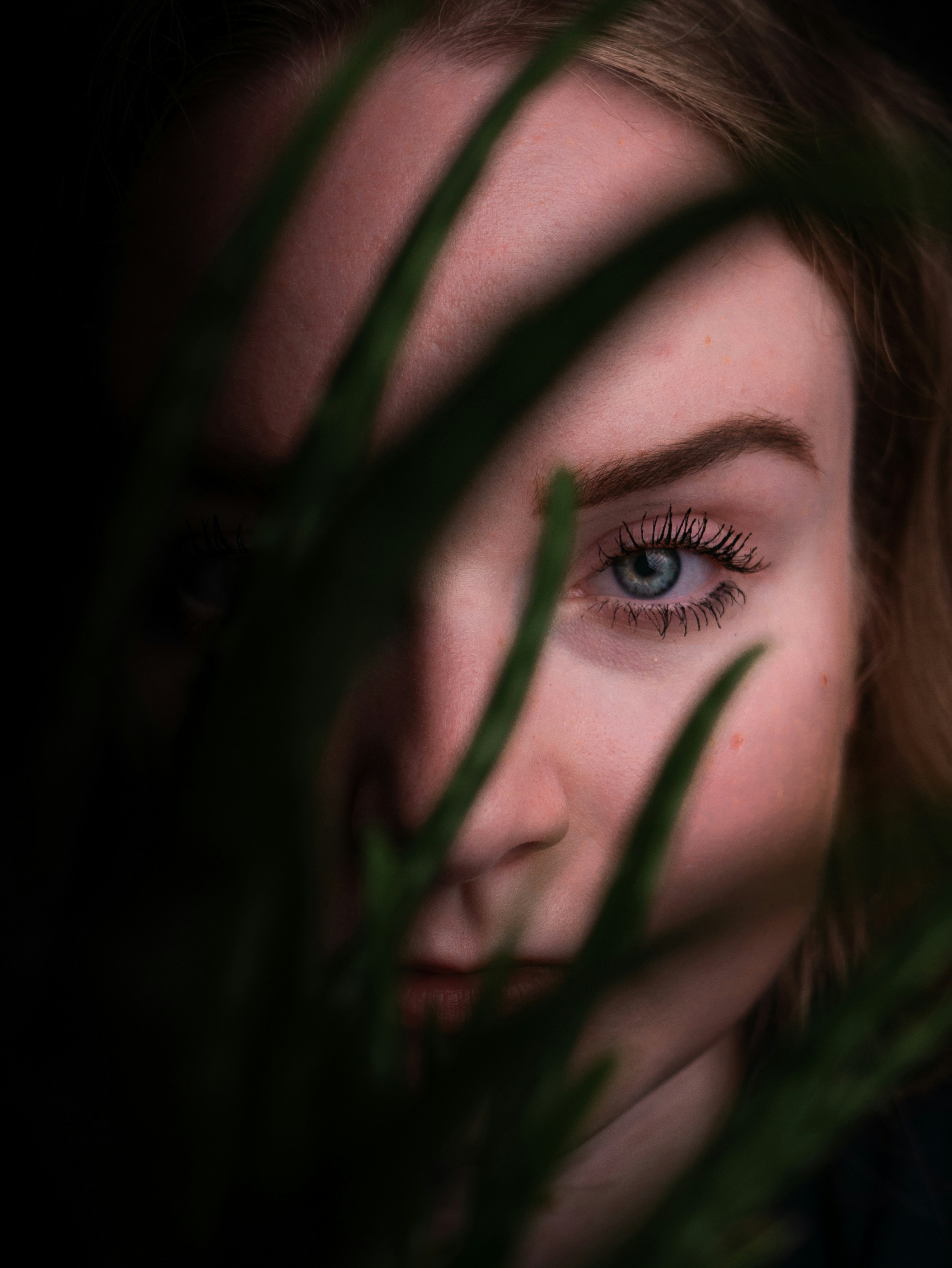 Photo by juliusdrost