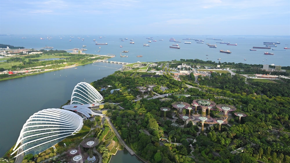 aerial view of green trees and buildings during daytime