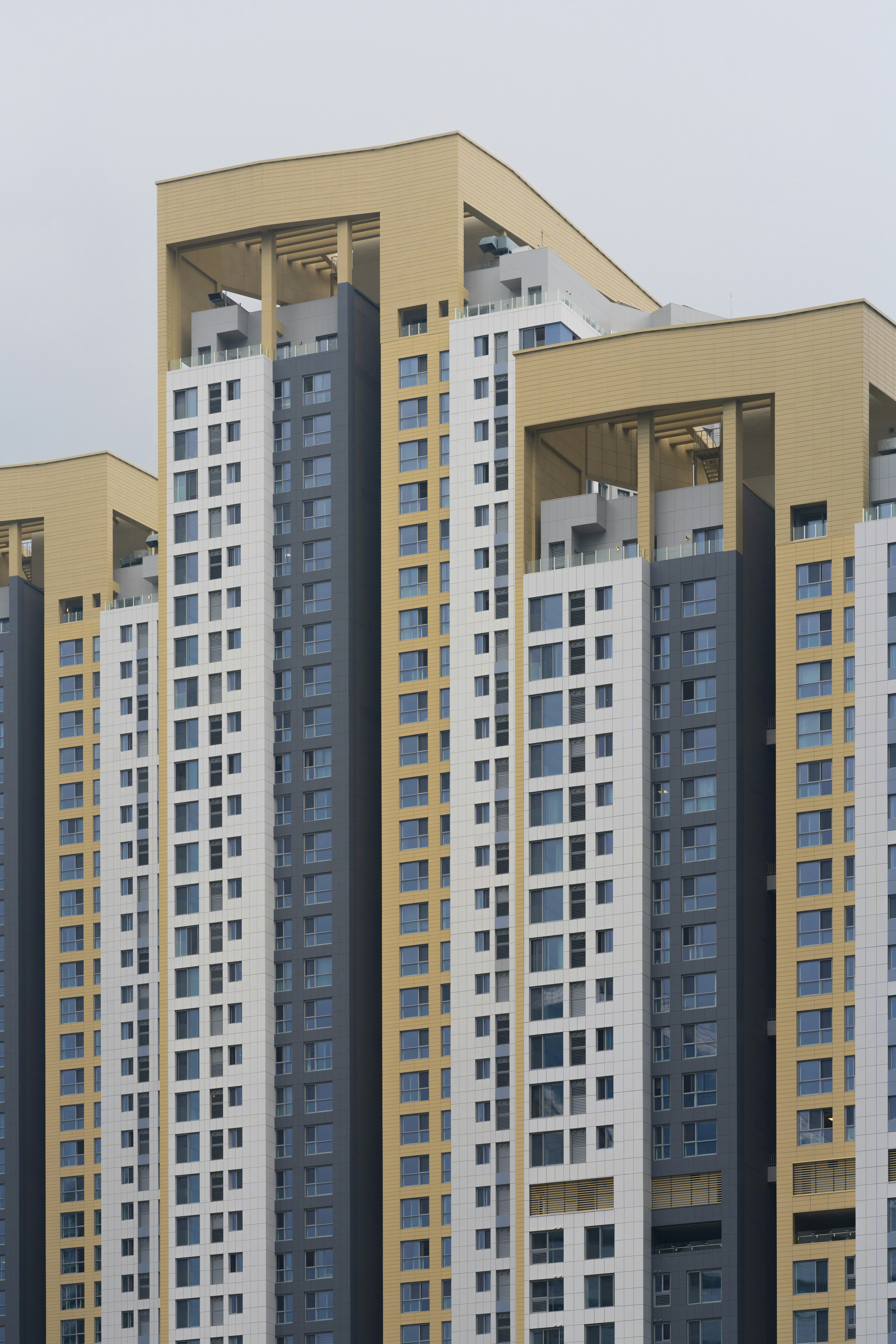 Photo by jess_lowly_pic