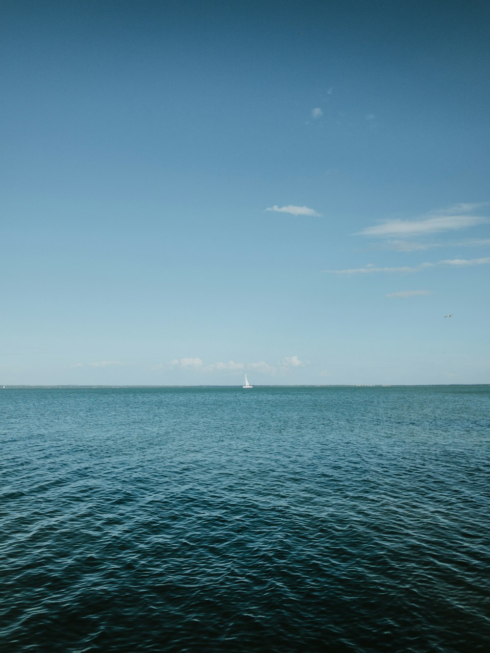 Gewässer unter blauem Himmel tagsüber