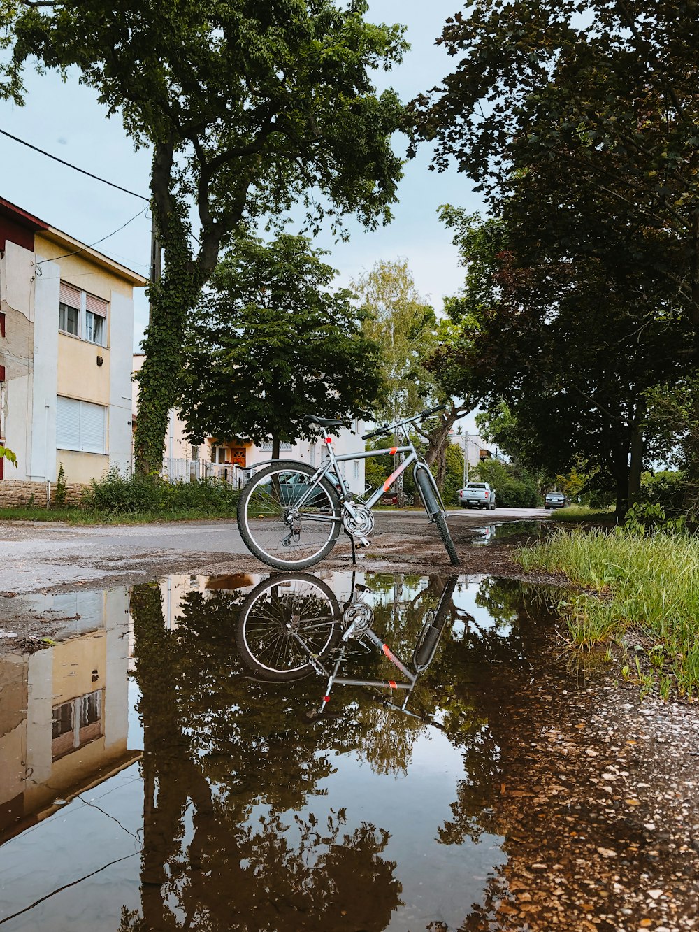 black bicycle parked beside green tree near body of water during daytime