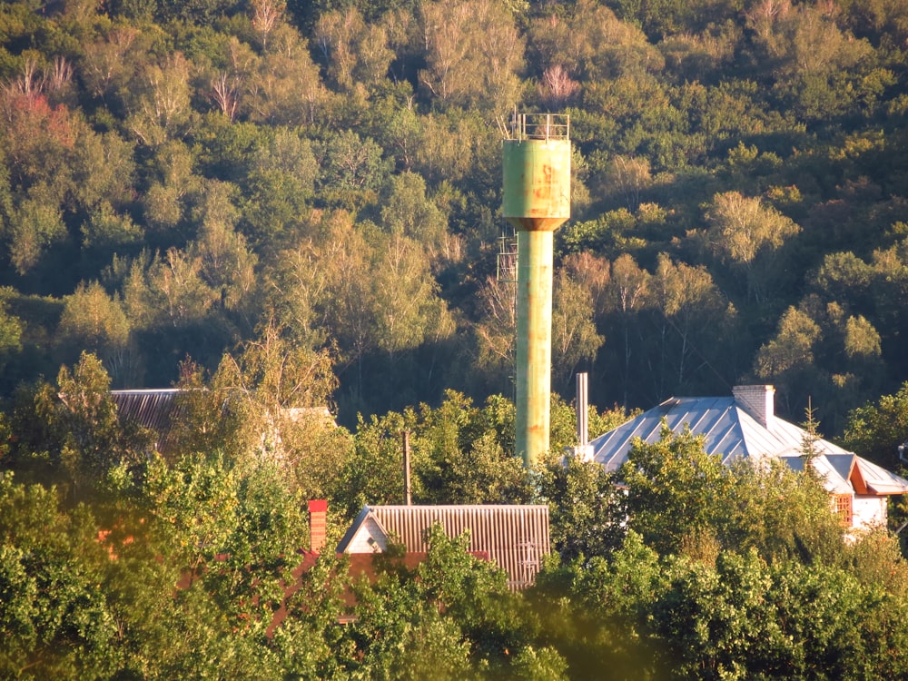 Grünes und weißes Betongebäude, tagsüber von grünen Bäumen umgeben