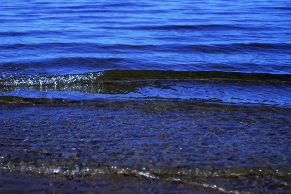 water waves on the shore during daytime