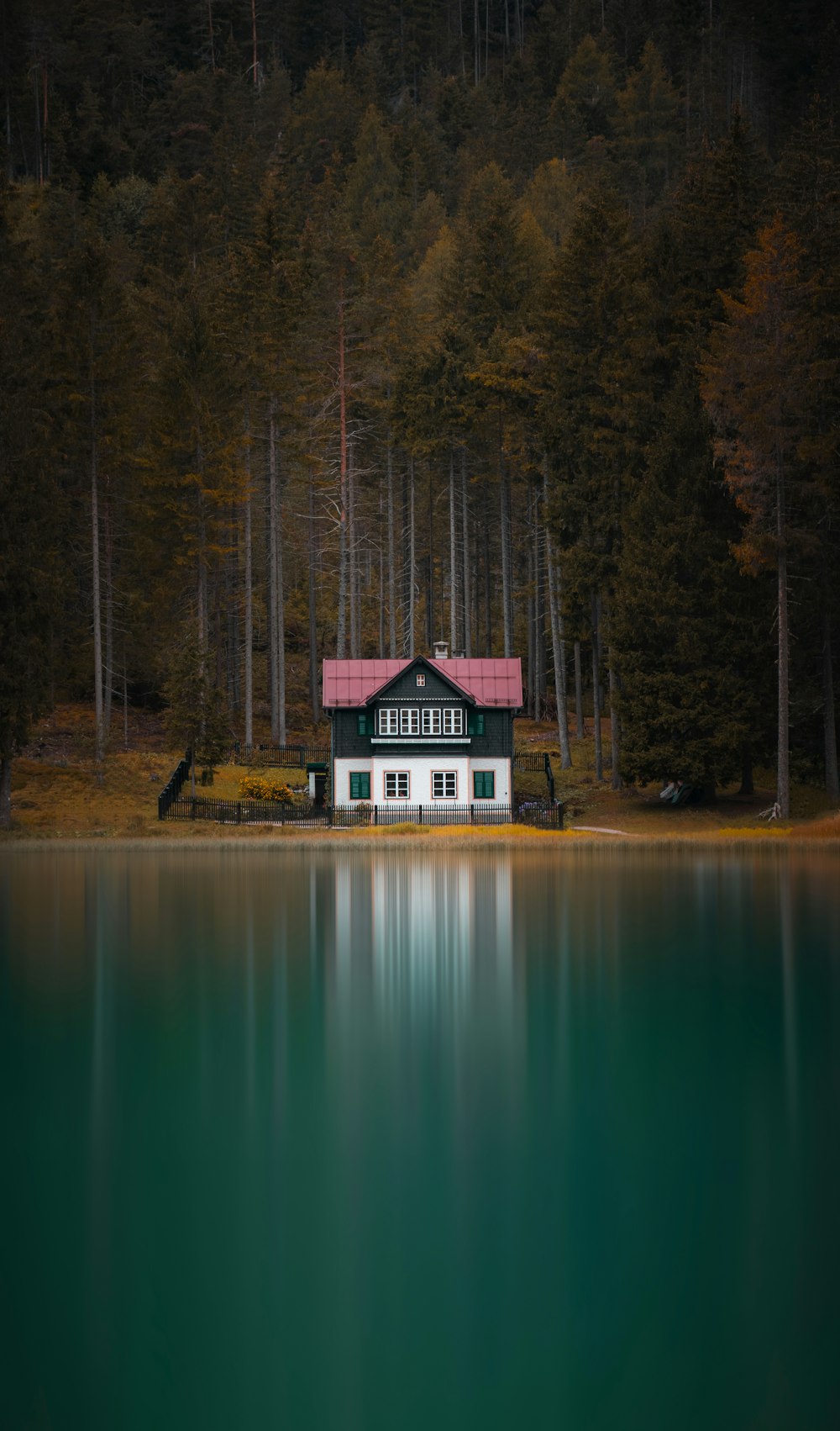 昼間は湖と緑の木々の近くの白と茶色の家