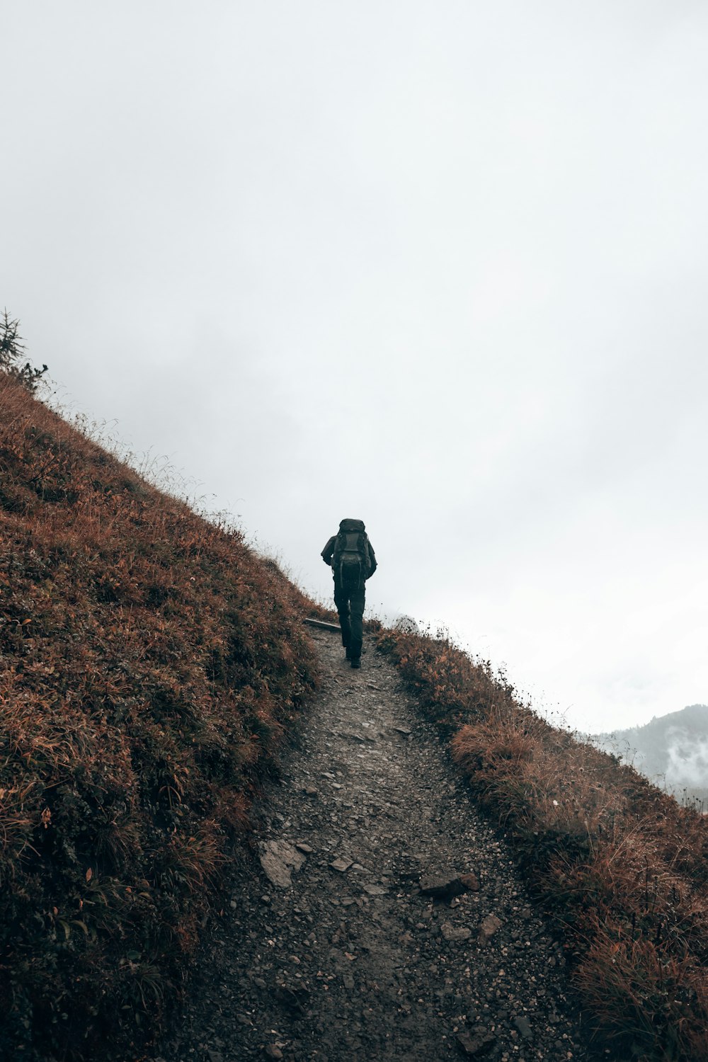 person in black jacket standing on brown grass covered hill during daytime