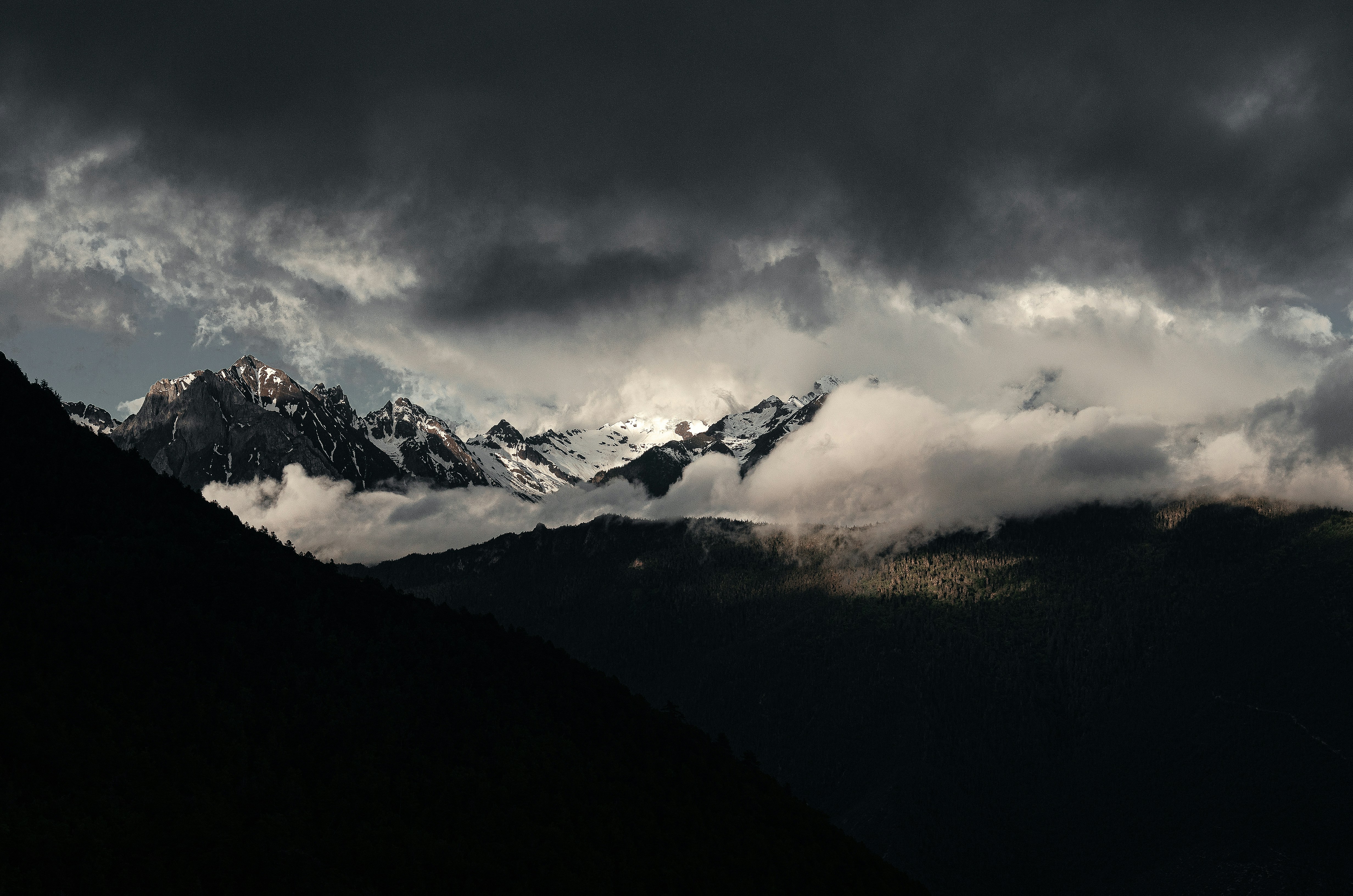 Photo by homerostudio