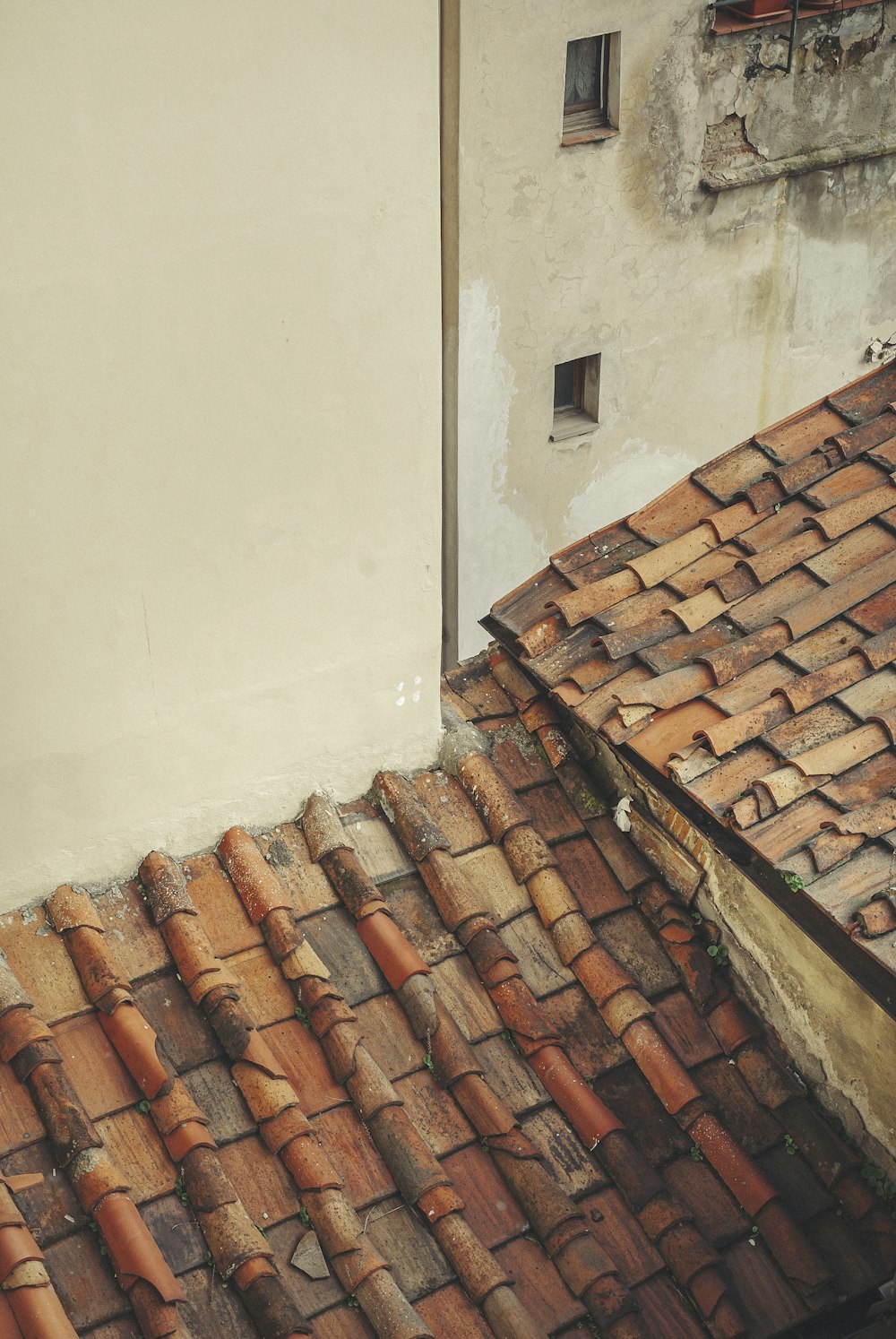 brown roof tiles beside white wall