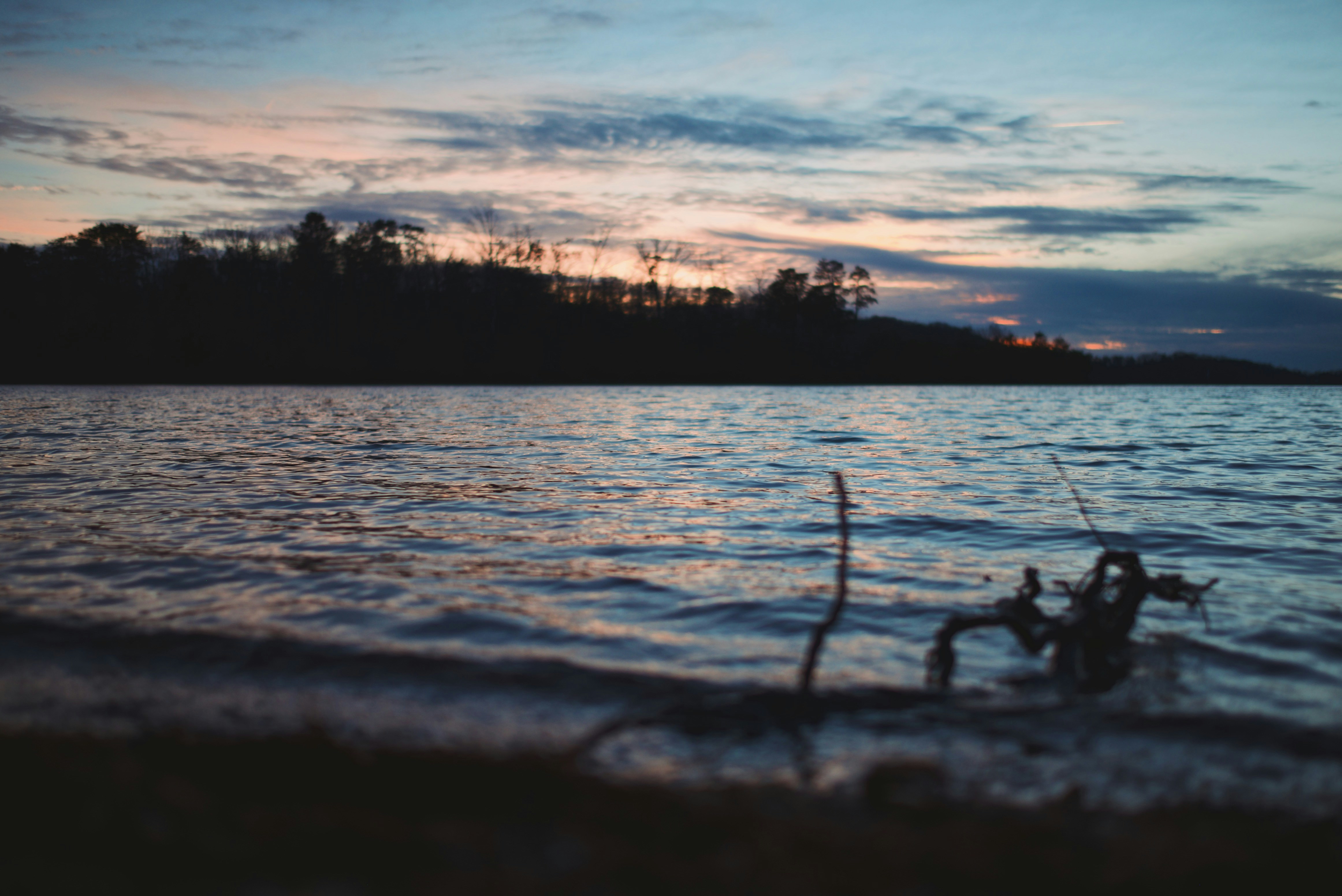 Photo by beangarbage