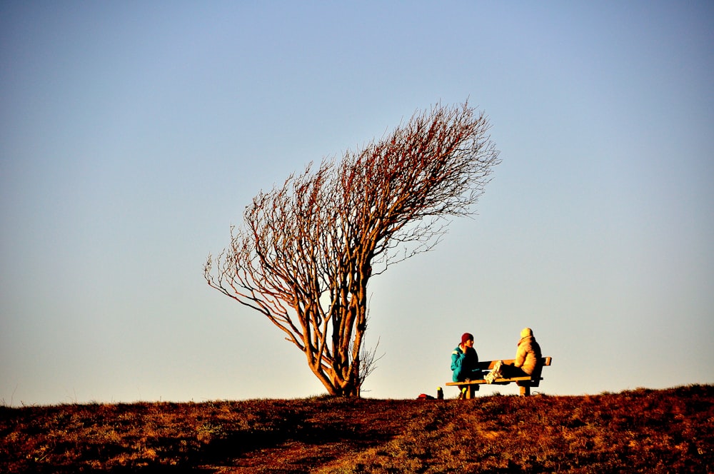 2 pessoas sentadas no campo de grama marrom durante o dia