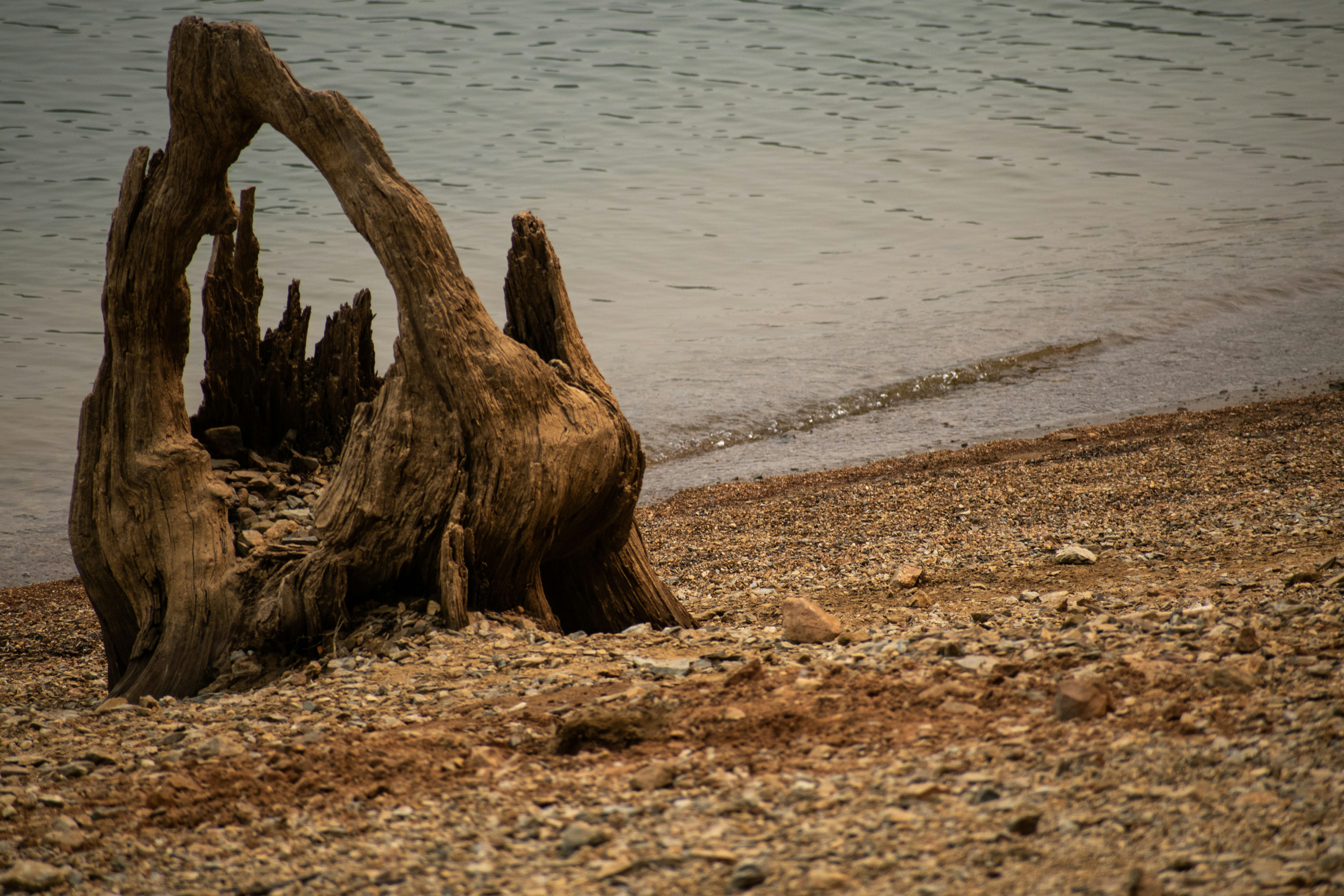 Photo by elisastonephotography