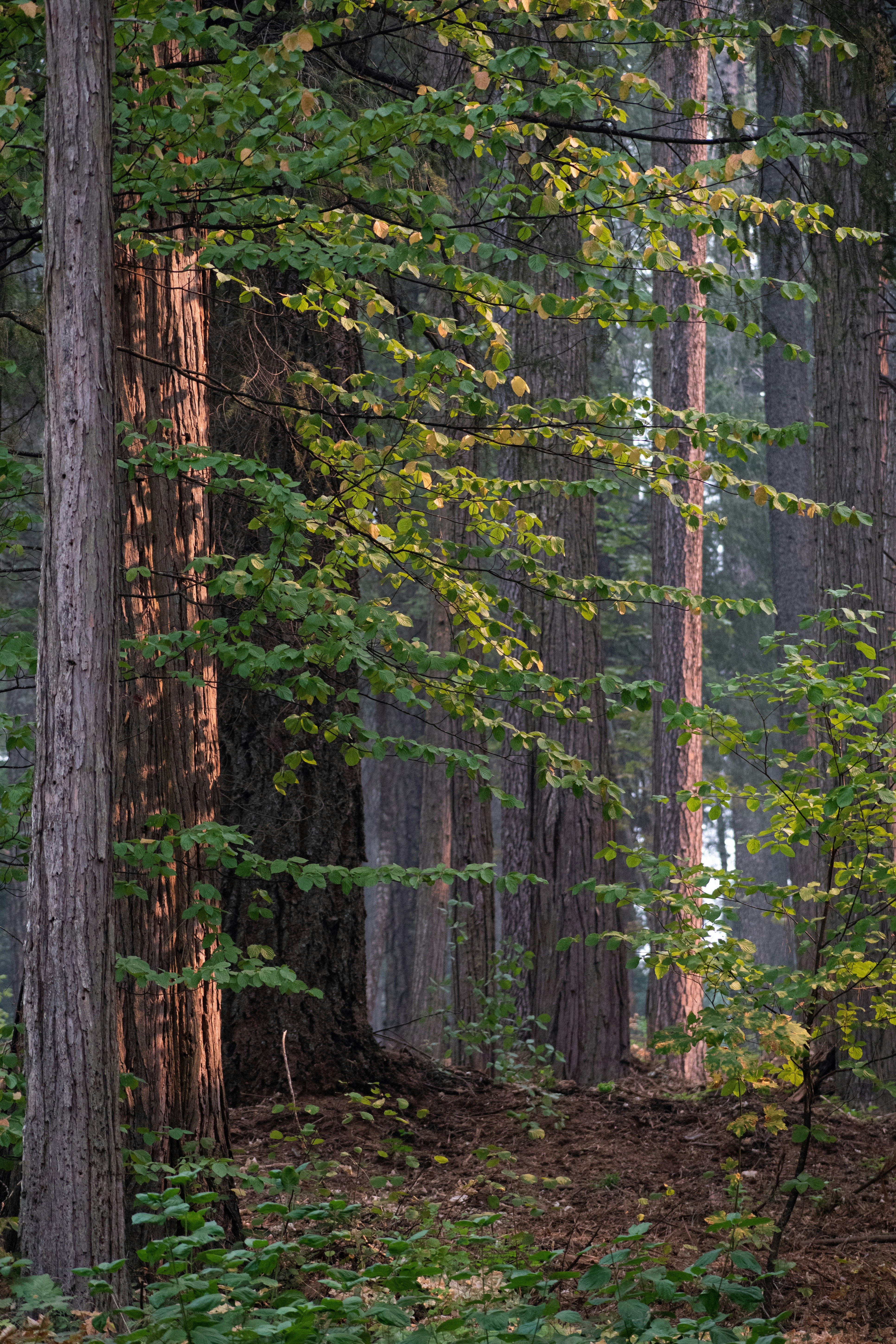 Photo by elisastonephotography