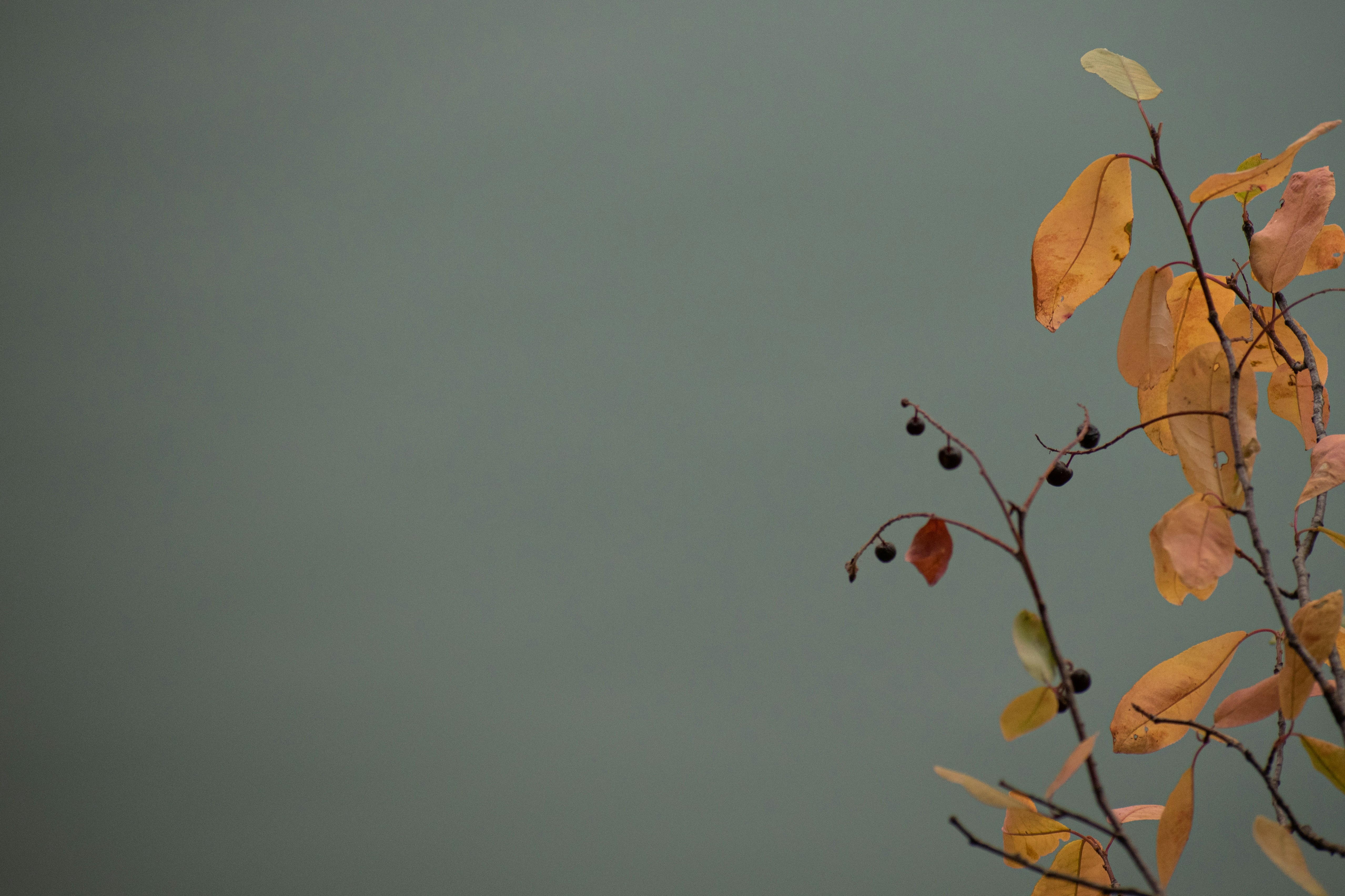 Photo by elisastonephotography