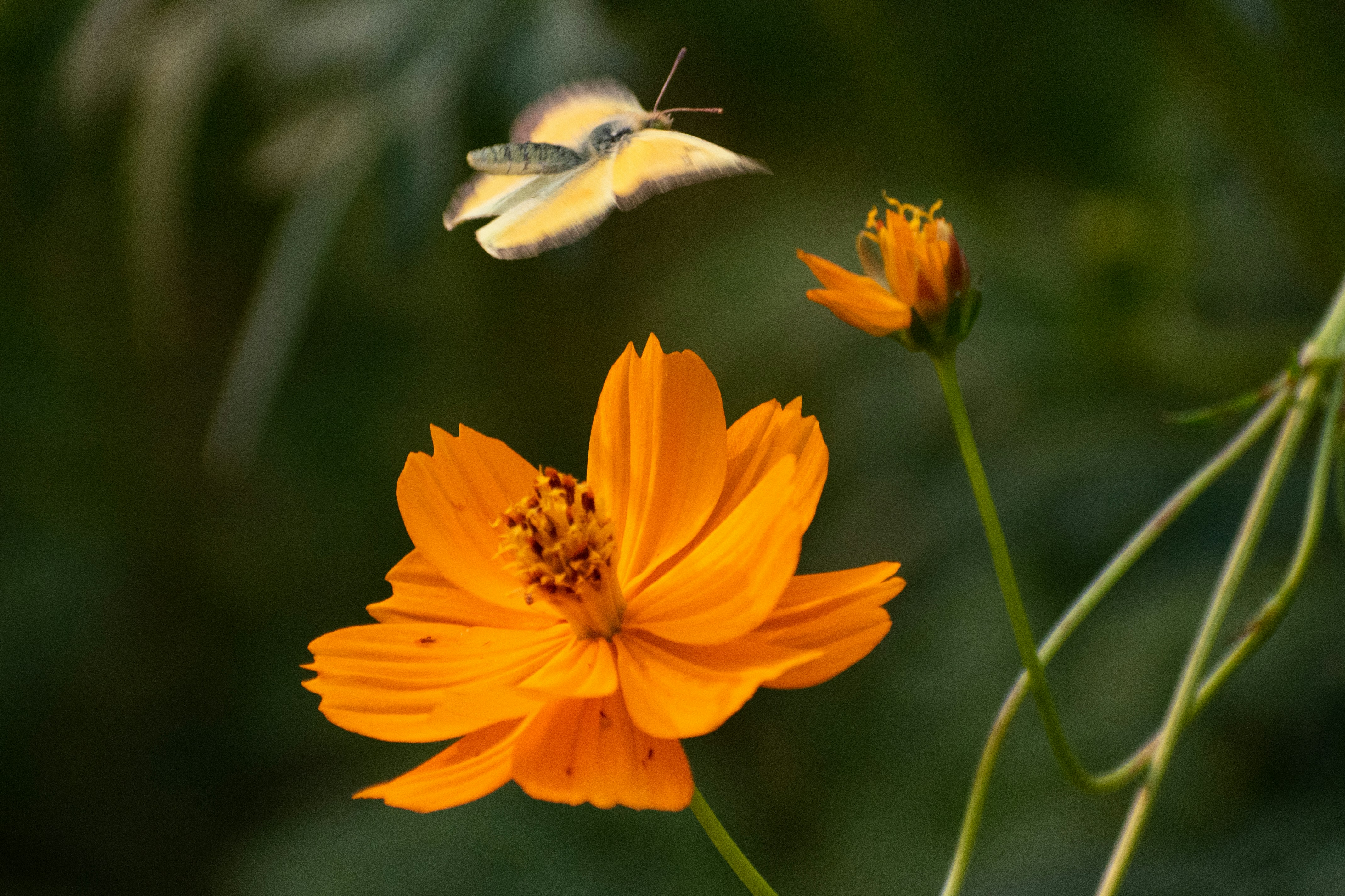 Photo by elisastonephotography